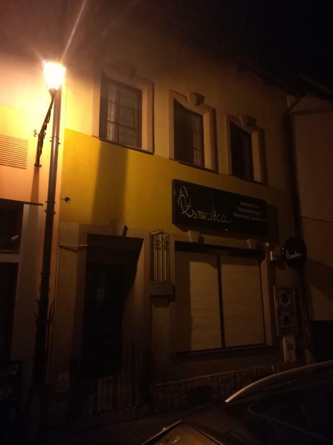Na Starowce Apartment Zywiec